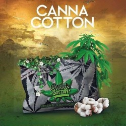 Algodón Canna Cotton